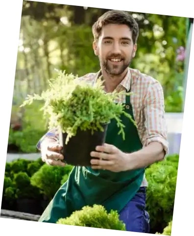 Man holding a garden plant